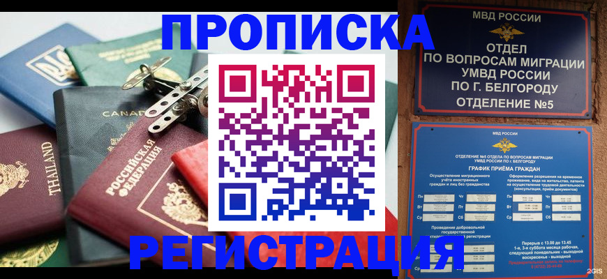 временная регистрация недорого в Североморске